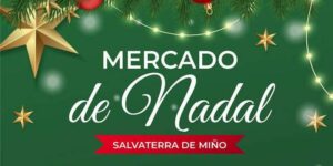 Vigoplan | Mercado De Nadal