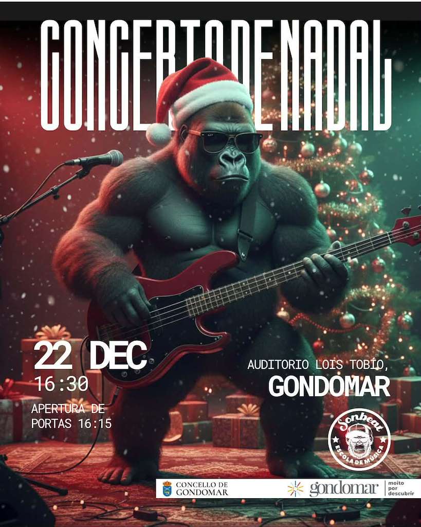 Vigoplan | Concerto De Nadal De Sonbeat Gondomar 2025
