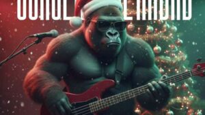 Vigoplan | Concierto De Navidad Gondomar