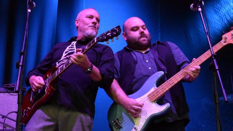 Vigoplan | Hey Hematoma