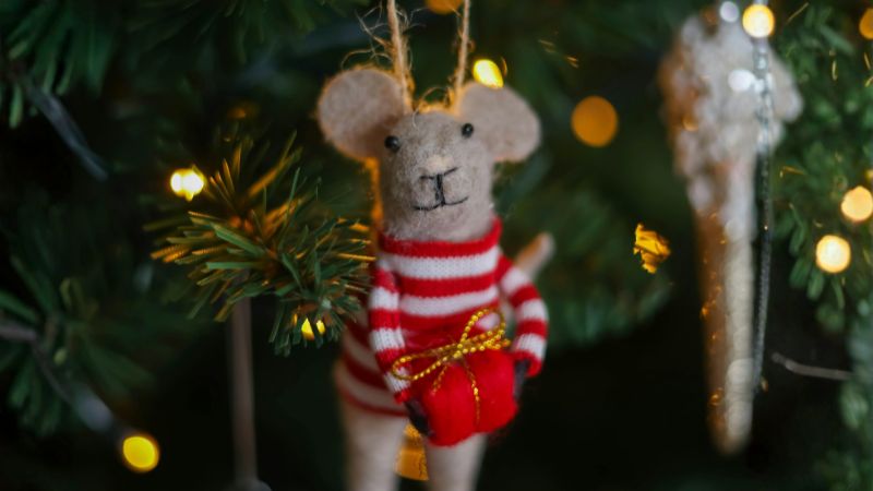 Vigoplan | Navidad Mondariz Balneario