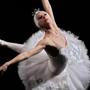 Vigoplan | El Lago De Los Cisnes