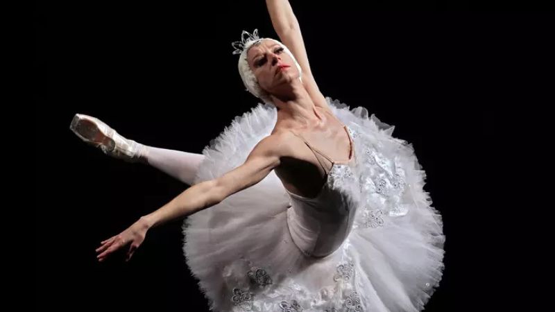 Vigoplan | El Lago De Los Cisnes