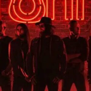 Vigoplan | Gin Toni’s