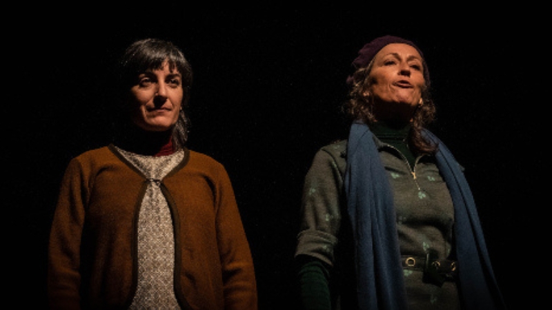 Vigoplan | As Alumnas Espectáculo Teatro Galicia