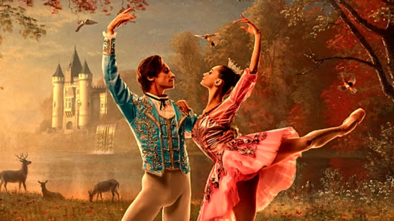 Vigoplan | La Bella Durmiente Vigo