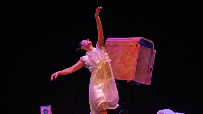 Vigoplan | O Arcon De Noa