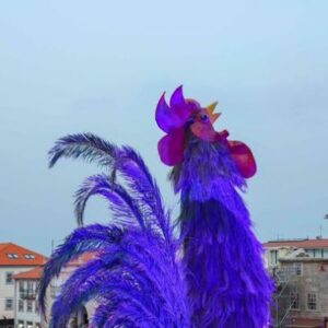 Vigoplan | Carnaval De A Guarda
