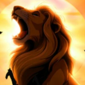 Vigoplan | De Simba A Kiara