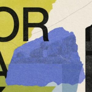 Vigoplan | Treixadura