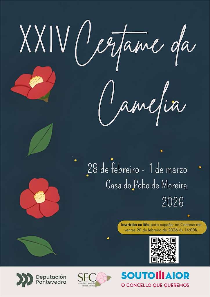Vigoplan | Certamen De La Camelia Soutomaior 2026