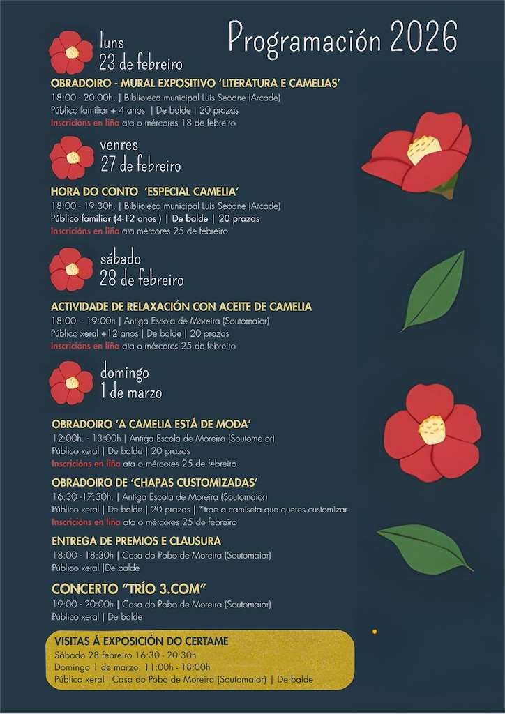 Vigoplan | Certamen De La Camelia Soutomaior Actividades