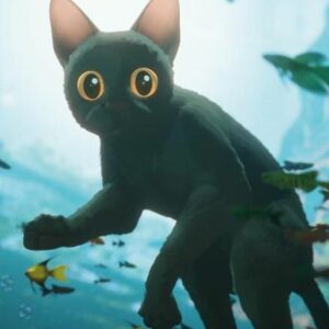 Vigoplan | Flow Pelicula