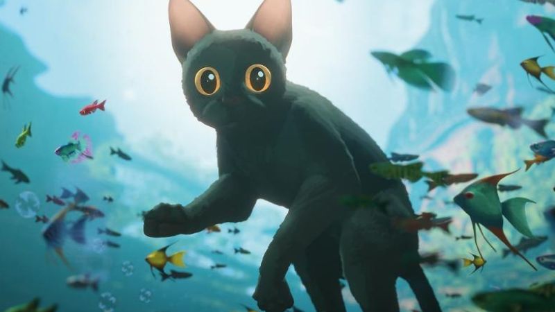 Vigoplan | Flow Pelicula