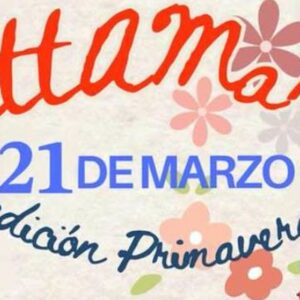 Vigoplan | A Betta Market Vigo