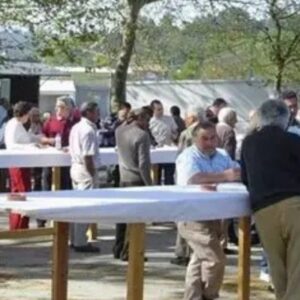 Vigoplan | Festa Do Xabarín