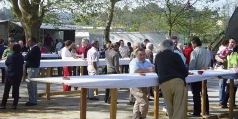 Vigoplan | Festa Do Xabarín