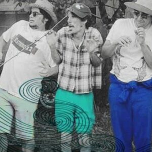 Vigoplan | Os Vacalouras