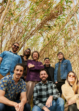 Vigoplan | Tangomango