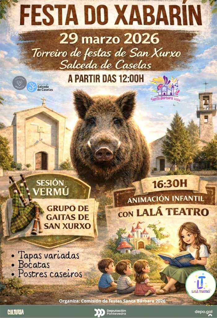 Vigoplan | Festa Do Xabarin