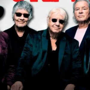 Vigoplan | Deep Purple
