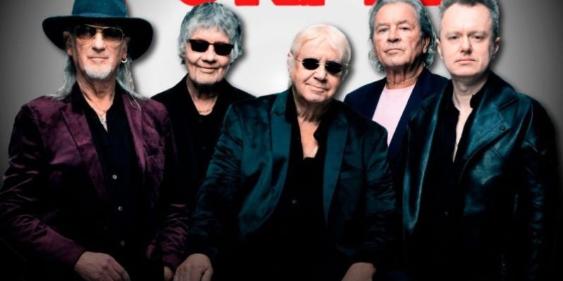 Vigoplan | Deep Purple