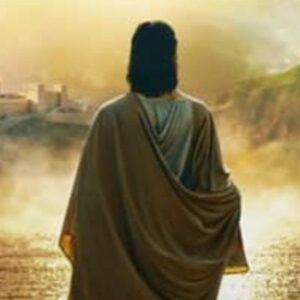 Vigoplan | En Busca Del Mesías