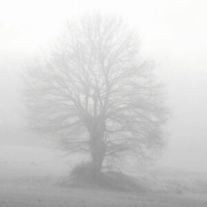 Vigoplan | Encrobas 77