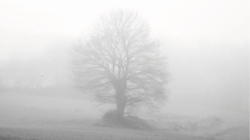 Vigoplan | Encrobas 77