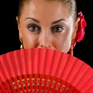 Vigoplan | Feria Flamenca 2026