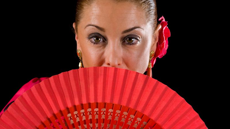 Vigoplan | Feria Flamenca 2026