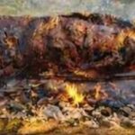 Vigoplan | I Festa Gastronómica Do Touro O Espeto De Prado Morgadáns En Gondomar 2026 (2)