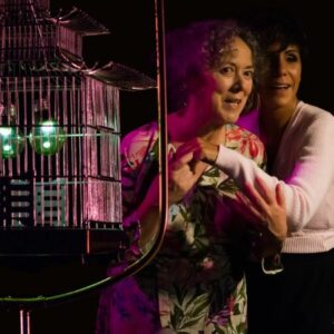 Vigoplan | Lolo E Mama Valladares Teatro