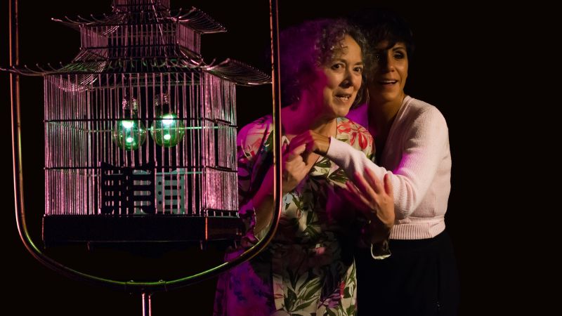 Vigoplan | Lolo E Mama Valladares Teatro