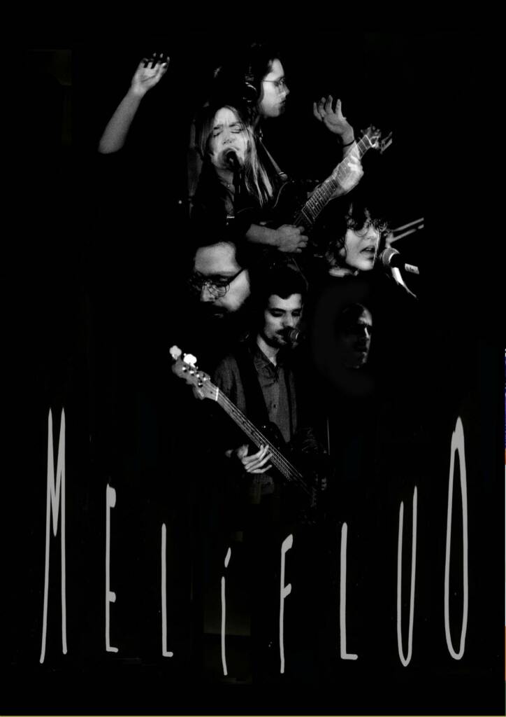 Vigoplan | Melifluo (2)