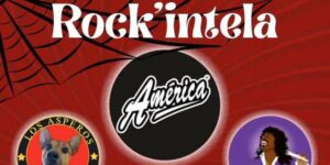 Vigoplan | Rock'intela