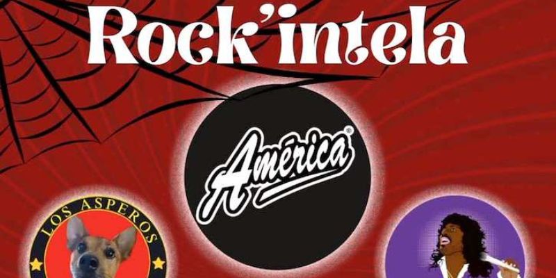 Vigoplan | Rock'intela