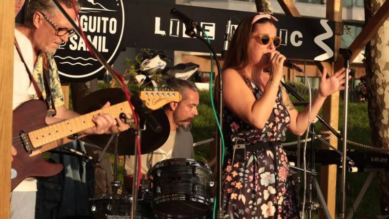 Vigoplan | The Tremenders