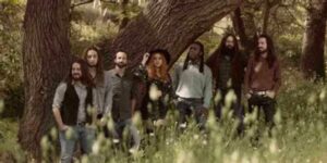 Vigoplan | White Coven