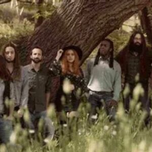 Vigoplan | White Coven