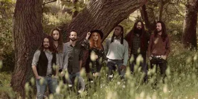 Vigoplan | White Coven