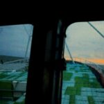 Vigoplan | Xxii Playdoc Festival Internacional De Documentais