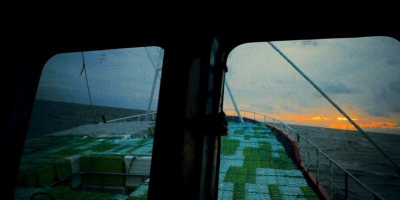 Vigoplan | Xxii Playdoc Festival Internacional De Documentais