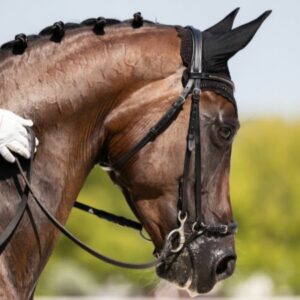 Vigoplan | Xuntanza Cabalar