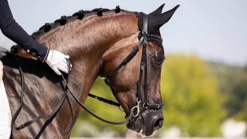 Vigoplan | Xuntanza Cabalar