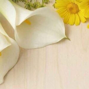 Vigoplan | Festa Dos Maios Redondela 2026