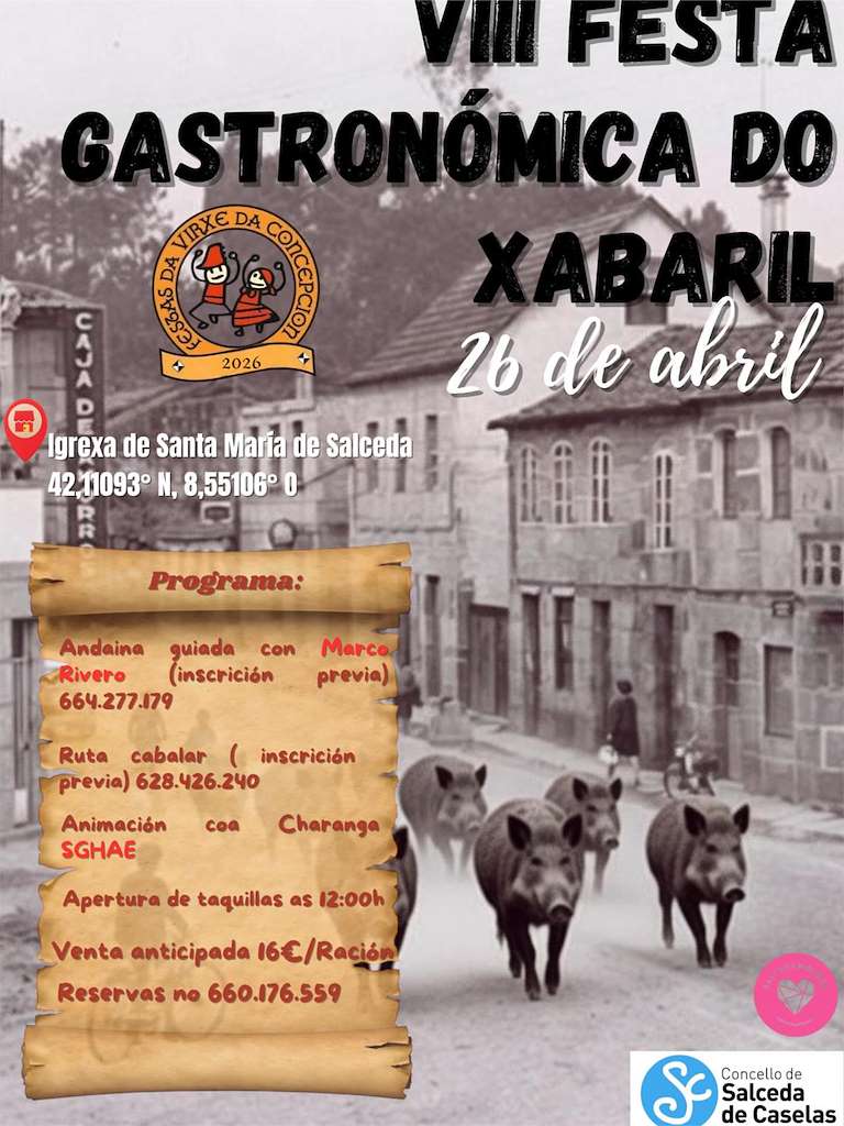 Vigoplan | Festa Gastronomica Do Xabaril Salceda De Caselas Img50502n1t0