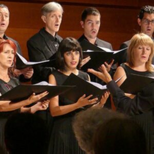 Vigoplan | Fiesta De San Xurxo 2026 Saians