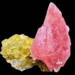 Vigoplan | Minervigo 2026 Vigo Feria