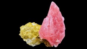 Vigoplan | Minervigo 2026 Vigo Feria